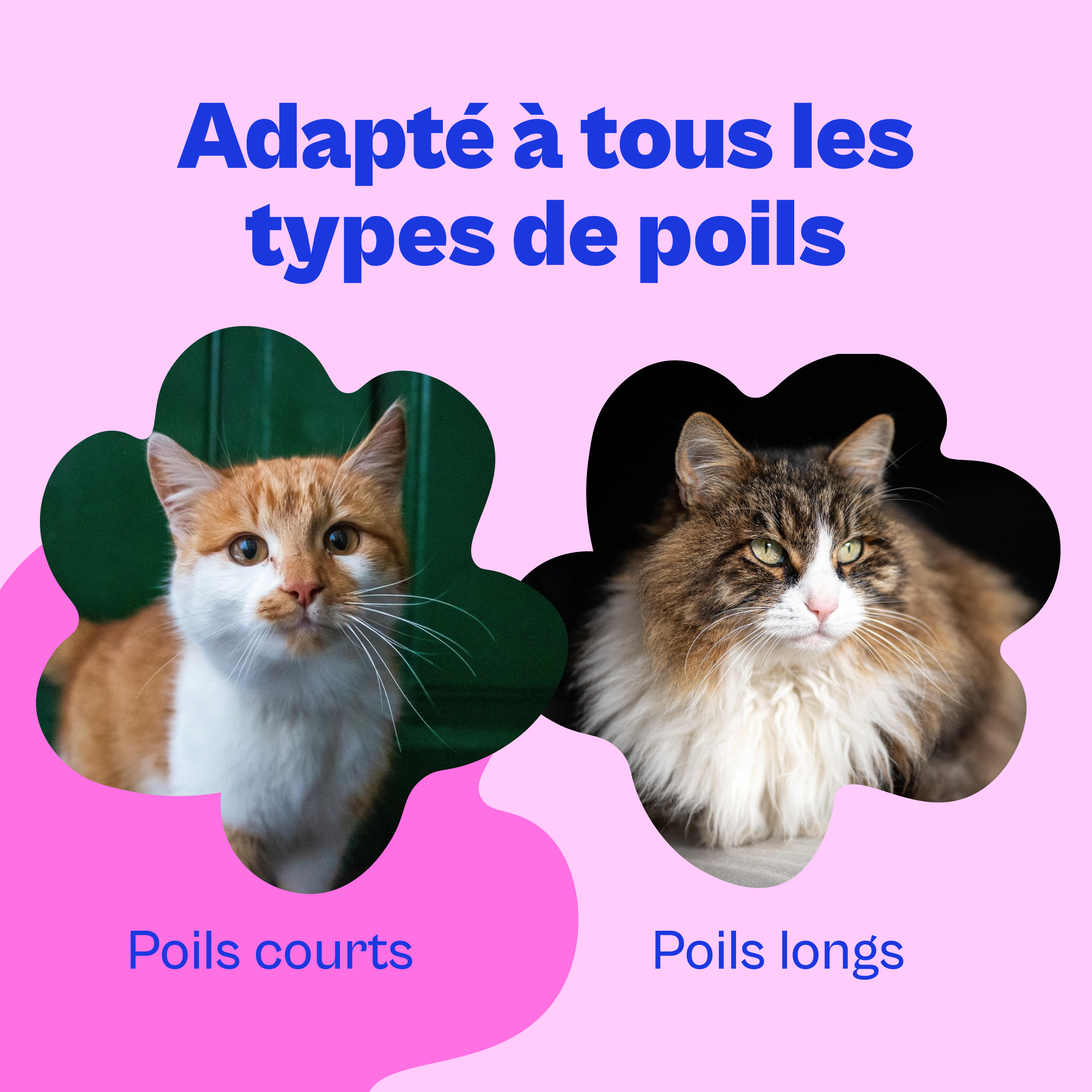 Brosse Furr™ – Brosse Anti-Poils Auto-Nettoyante