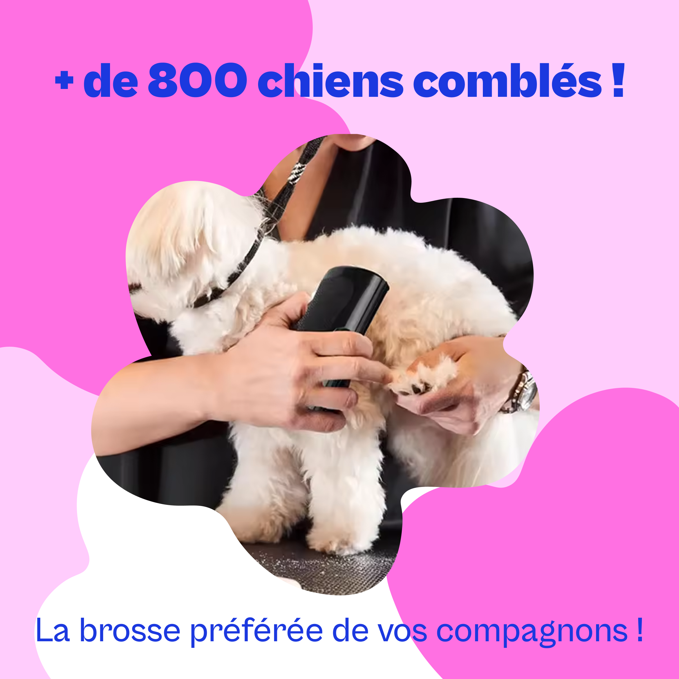 Brosse Furr Anti-Poils™ (Chien)  – Brosse Attrape-Poils Réutilisable Pour Chien