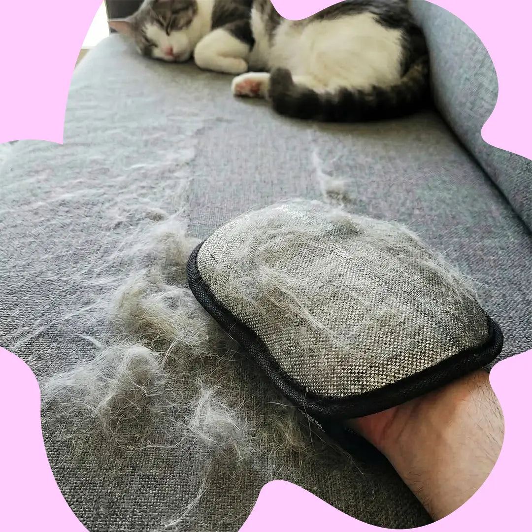 Gant Furr™  – Gant Attrape-Poils Réutilisable