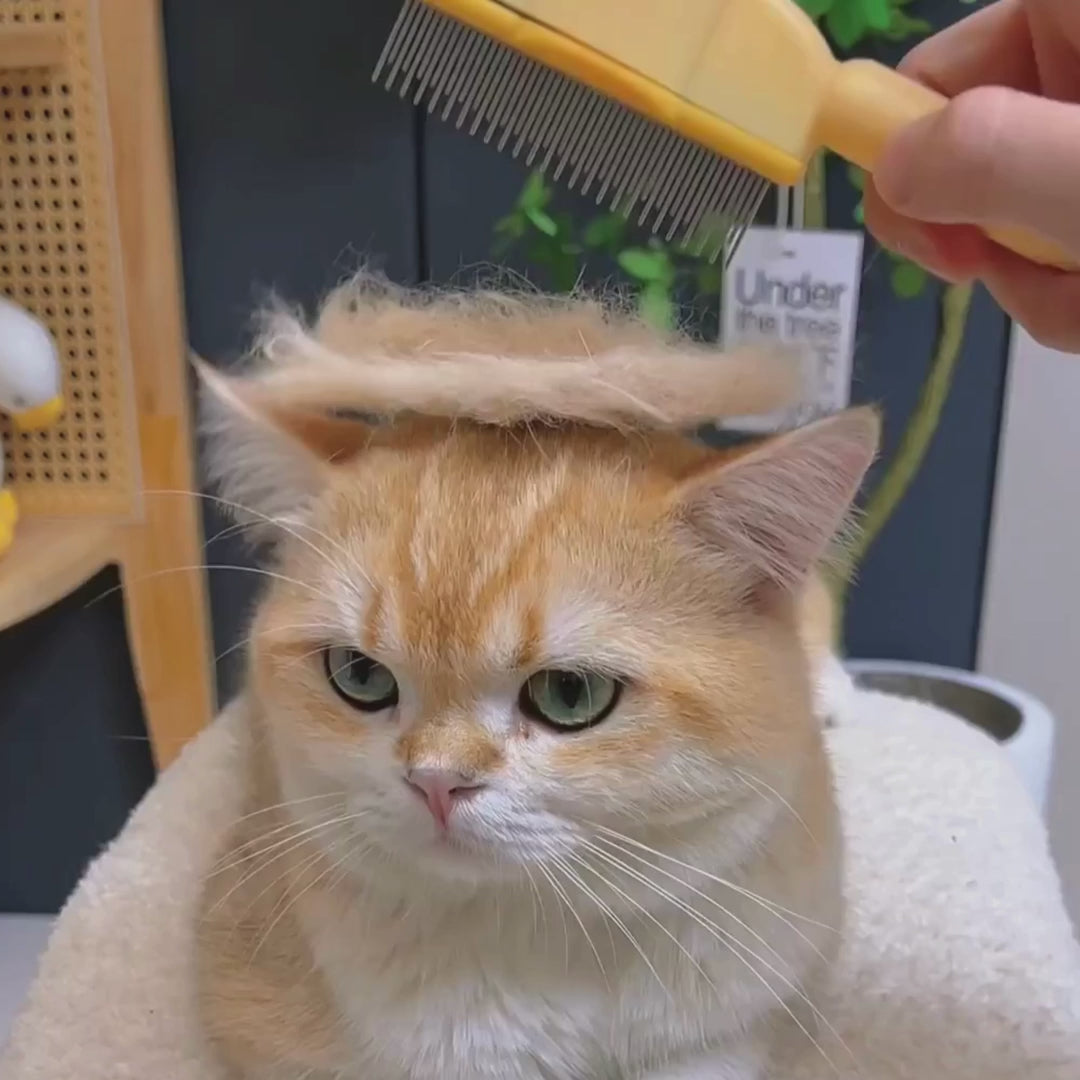 Brosse Furr™ – Brosse Anti-Poils Auto-Nettoyante